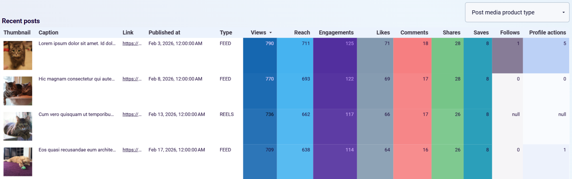 looker-studio-social-media-dashboard-6.png